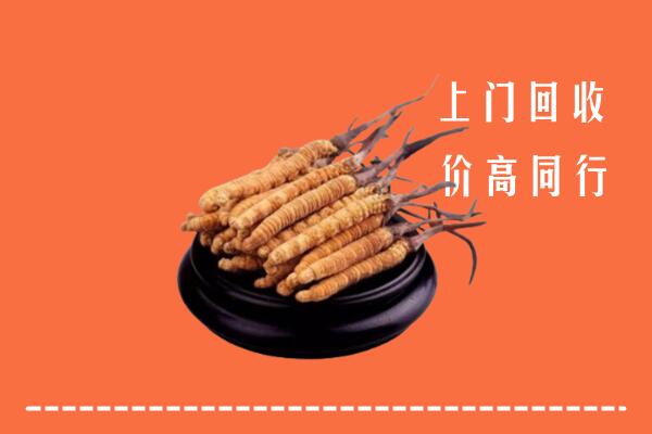 高价求购：九江市修水县回收散虫草